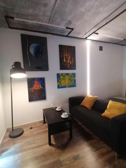 Erdvi Studija Spacious Studio Apartment Self Check In Vilnius Exterior photo